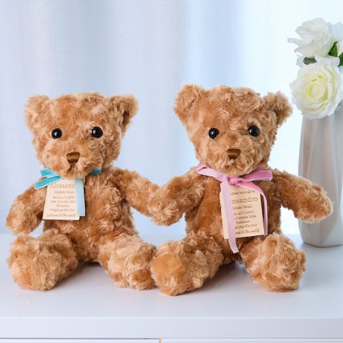 Personalised Plush Bear With Birth Stats